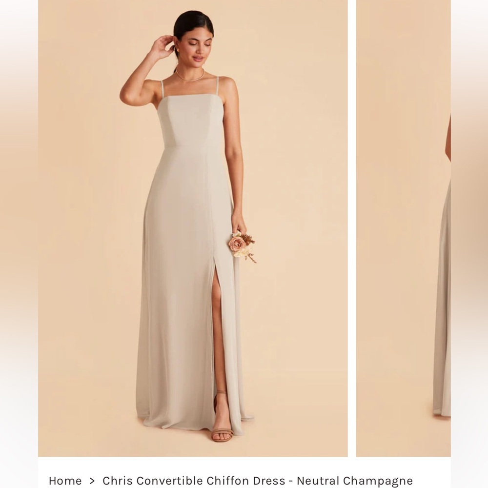 Birdy Grey Chris Convertible Chiffon Dress